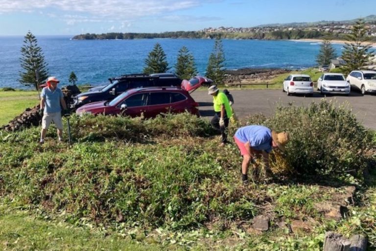 Garden Rejuvenation – Minnamurra Headland